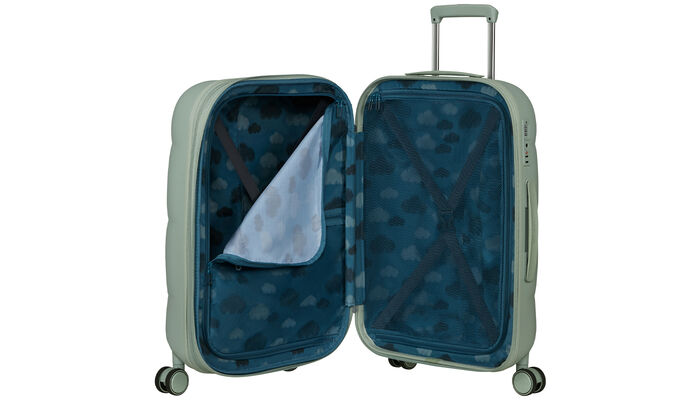 Inteligentná vnútorná organizácia