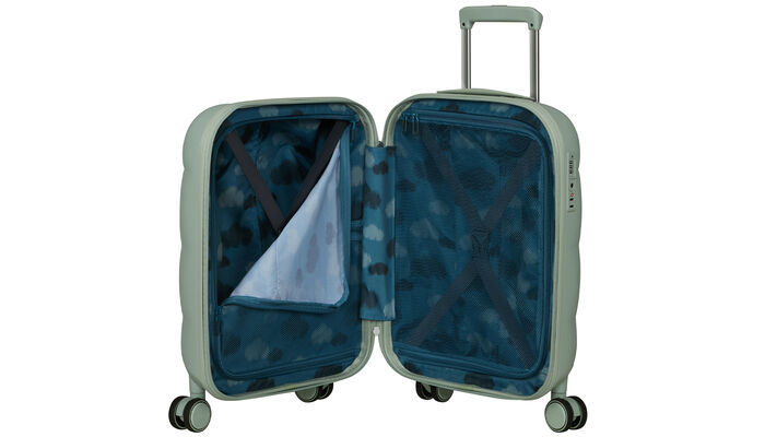 Inteligentná vnútorná organizácia